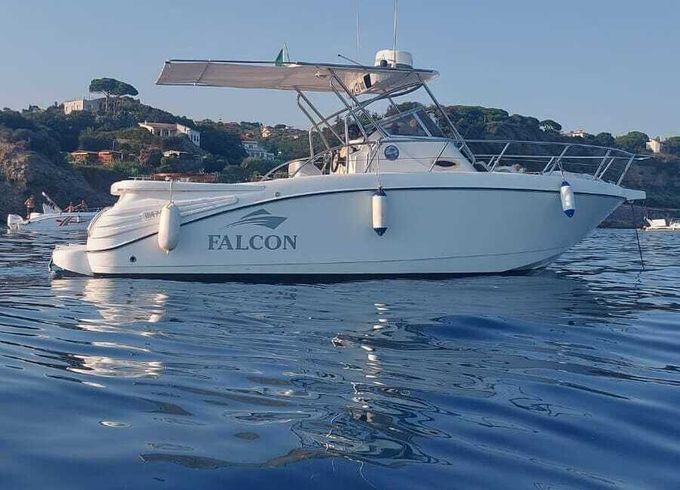 Motorboat Falcon Falcon 225hp