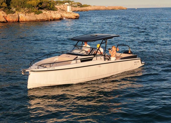 Motorboat Hanse Ryck 280 350hp