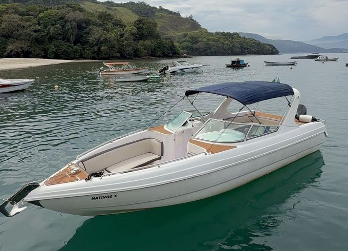 Motorboat Futura Futura tecnoboat 300hp