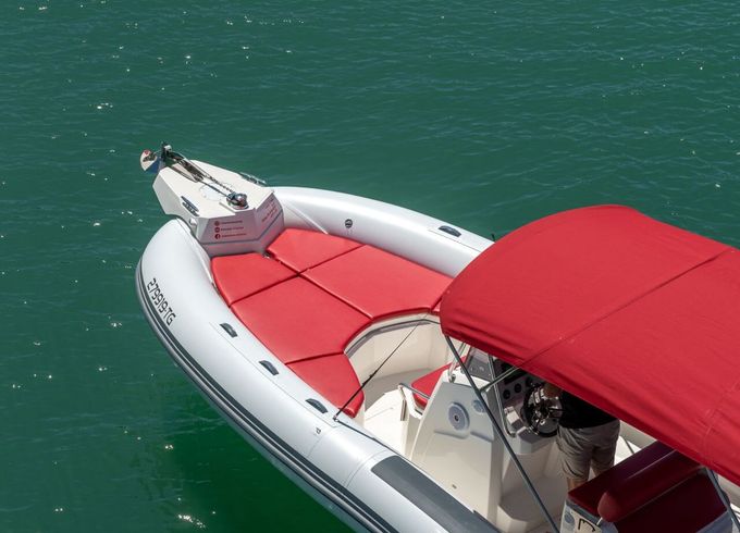 RIB Marlin 790 250hp