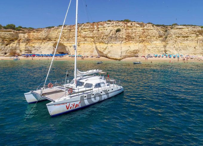 Catamaran Sailing Catamaran Custom 15m
