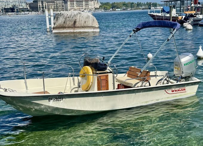 Motorboat Boston Whaler Montauk 17 75hp