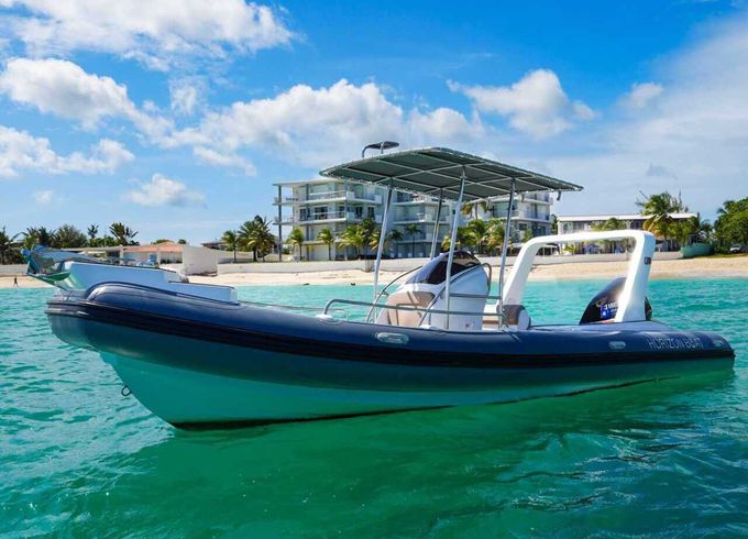 RIB RIB 760 250hp