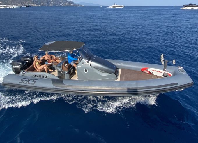 Motorboat Sacs Marine Strider 10 600hp