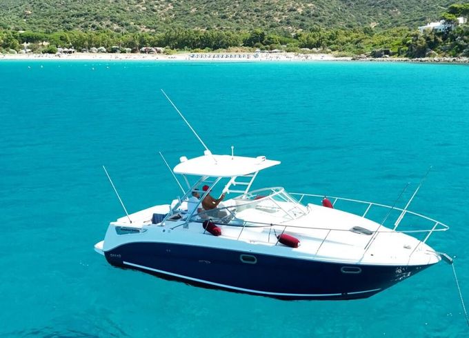 Motorboat Sea Ray 290 Amberjack 600hp