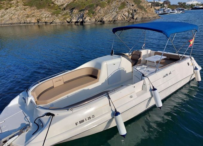 Motorboat Sea Ray Sundeck 240 260hp