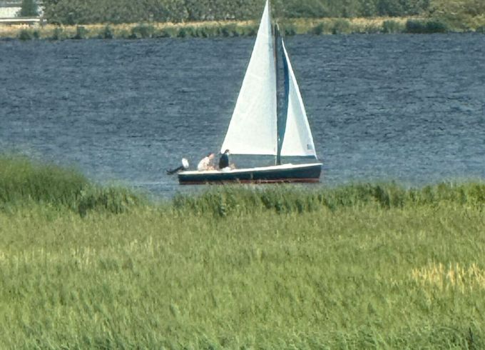 Sailboat Polyvalk Polyvalk 6.65m