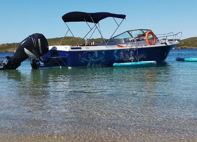 Motorboat Wellcraft Phyton 24 Coast 275hp