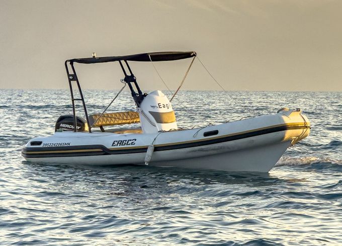 RIB Eagle Boats Eagle 40hp