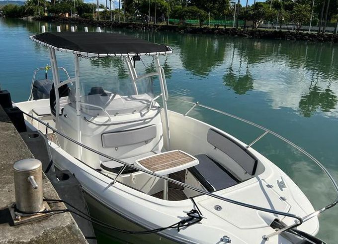 Motorboat Jeanneau Cap Camarat 7.5 Cc 250hp