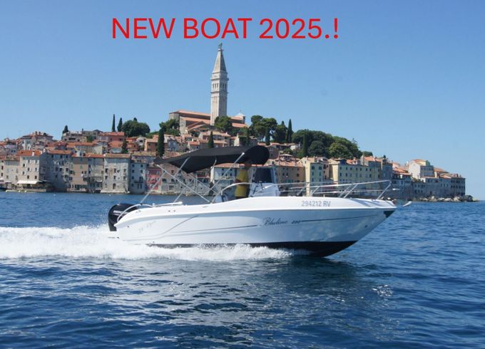 Motorboat BLULINE 21 OPEN 150hp