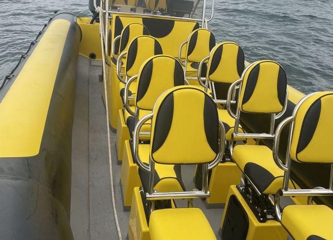 RIB xsribs xs ribs 9,90 600hp