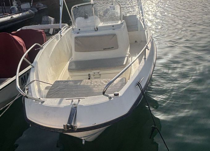 Motorboat Quicksilver Activ 555 Open 100hp