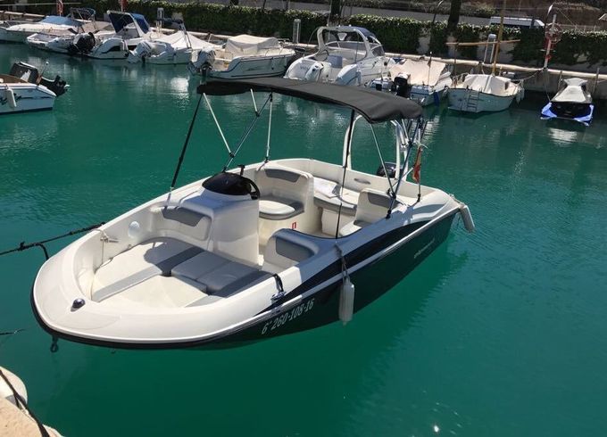 Boat without licence  BAYLINER ELEMENT 160 15hp