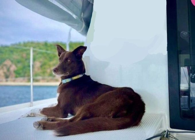 Catamaran Fountaine Pajot Lucia 12m