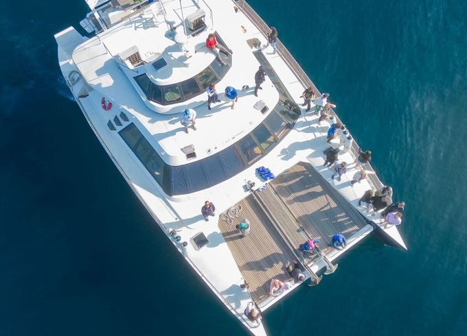 Catamaran Beneteau Patrol 690 16.5m