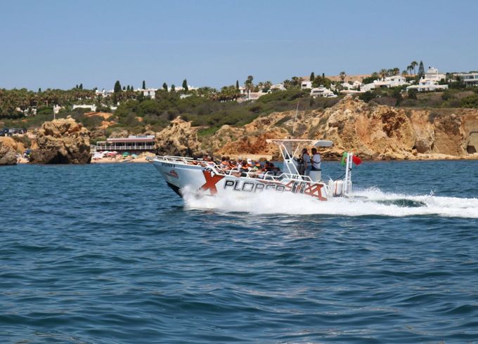 Motorboat Catamaran Clasique 520hp