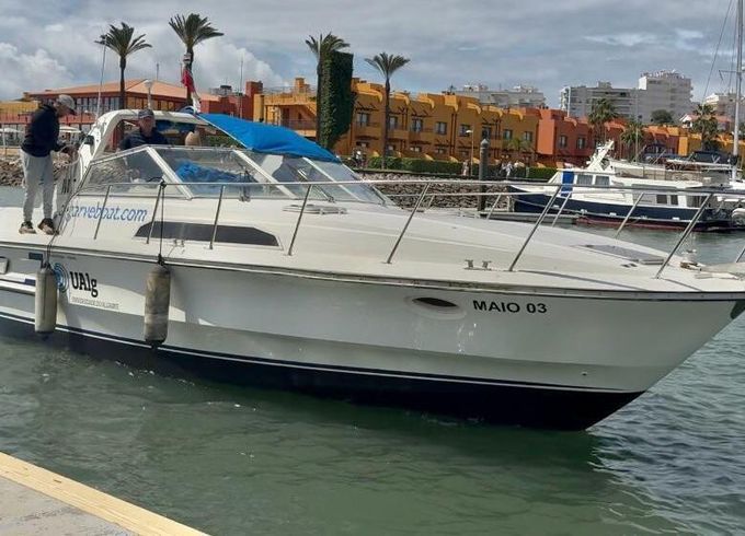 Motorboat Birchwood Turbo S41 400hp