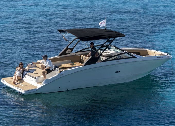 Motorboat Sea Ray 290