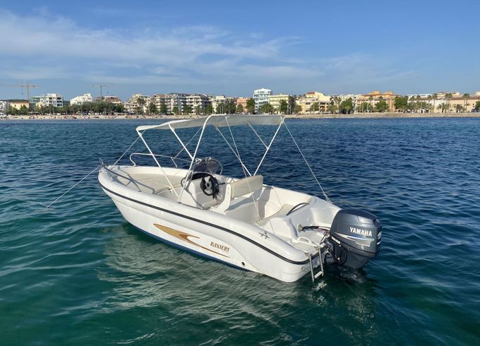 Motorboat Ranieri Shark 17