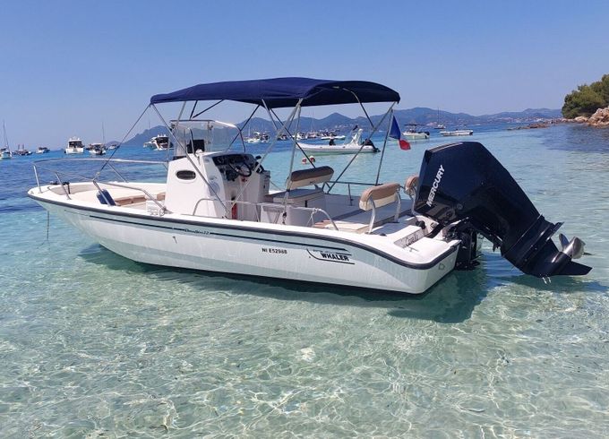 Motorboat Boston Whaler (Refit 2025) 22 Dauntless 225hp