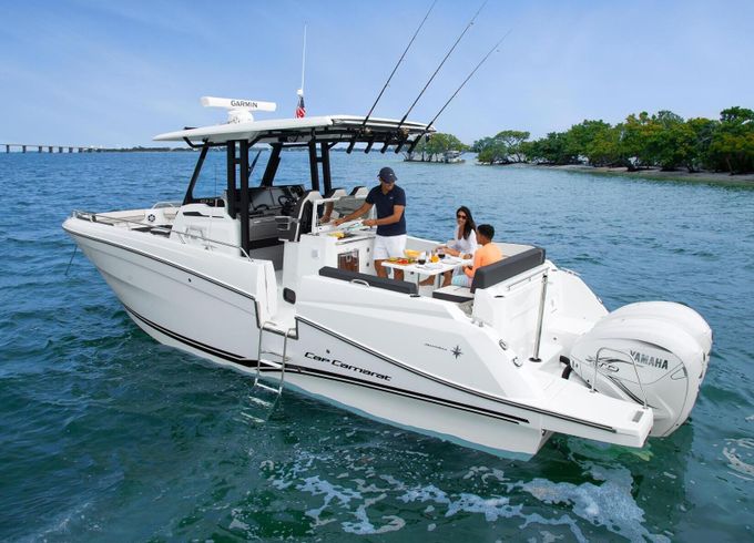 Motorboat Jeanneau Cap Camarat 10.5 CC 600hp
