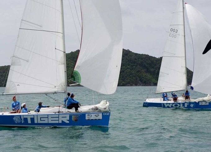 Sailboat The Platu One Design Class The Tiger 7.6m