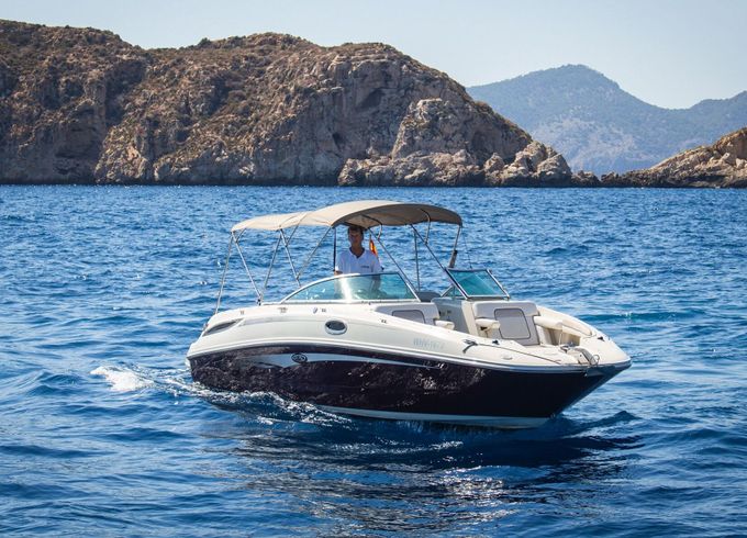 Motorboat Searay 280 Sun Deck 499hp