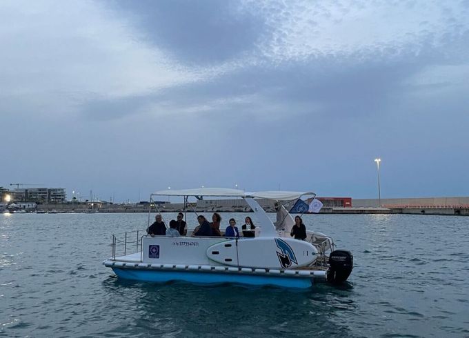 Boat without licence  Trimarano alvi 40hp