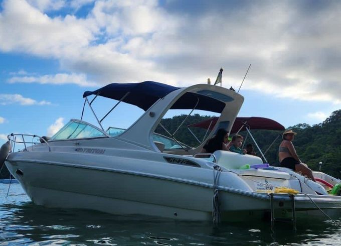 Motorboat Triton 27.5 260hp