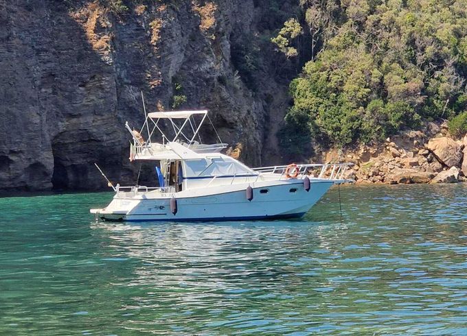 Motorboat Ars monaco 31 fly 400hp