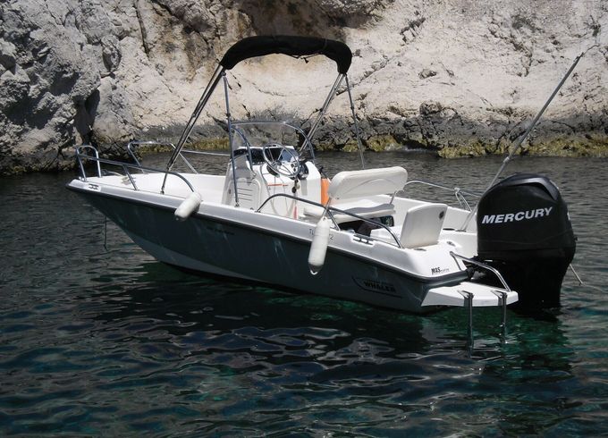 Motorboat Boston Whaler DAUNTLESS 170 100hp