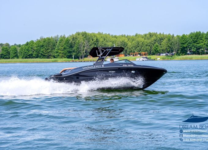 Motorboat Sea Ray 210 250hp