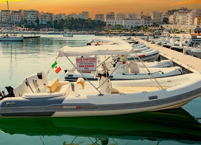 Boat without licence  Predator 5.5 mt (3)