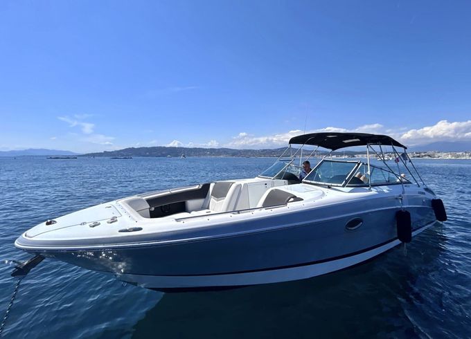 Motorboat Fourwinns H310 600hp