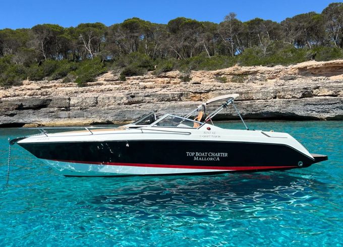 Motorboat WELLCRAFT OPEN 8 260hp