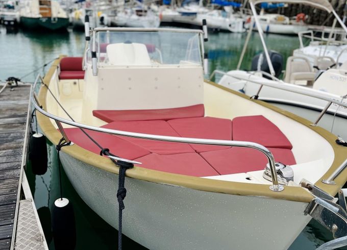 Motorboat Rhea Marine 23 Open 175hp