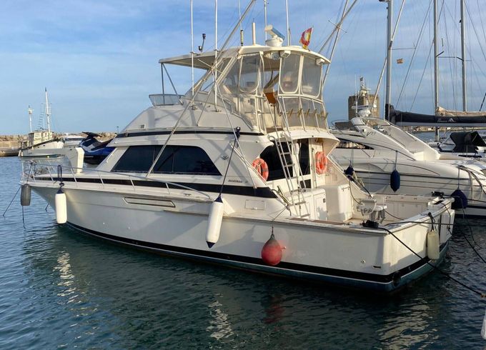 Motorboat Bertram bertram 50 ft sport fisherman