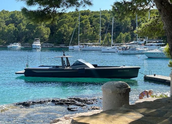 Motorboat Wally Tender 45 740hp