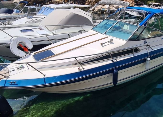 Motorboat Sea Ray Sundancer 250 320hp