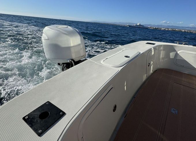 Motorboat Sas Vektor Bluefin 25 cc 225hp