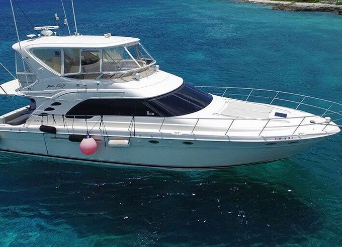 Motor yacht Sea Ray 58'