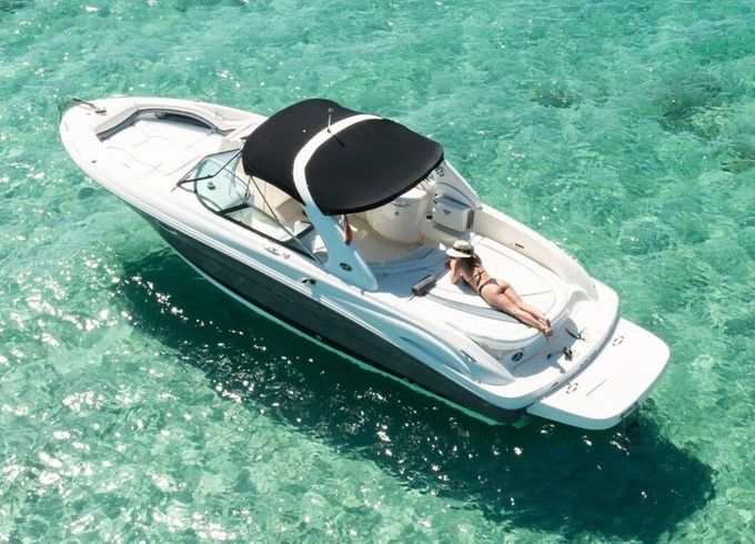 Motorboat Sea Ray 295 560hp
