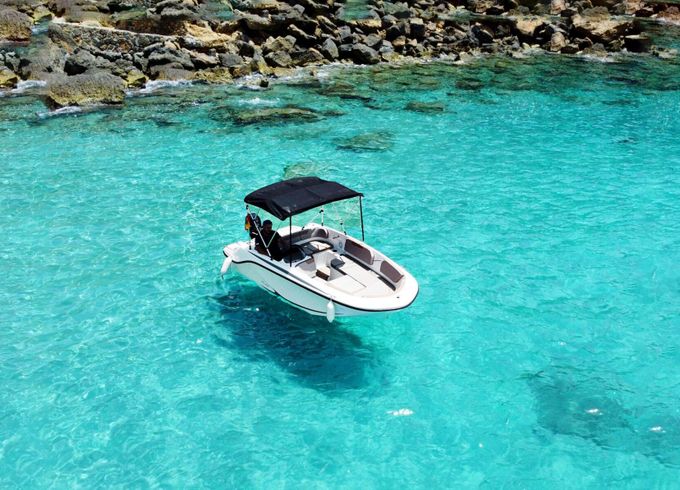 Boat without licence  Bayliner Element M15 15hp