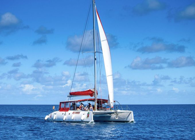 Catamaran Ocean Voyager Maxicat 53 15.5m