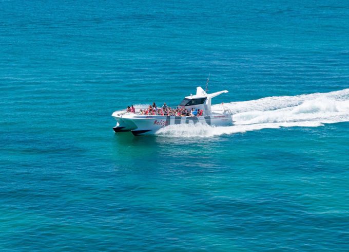 Catamaran Catamaran Custom 14m