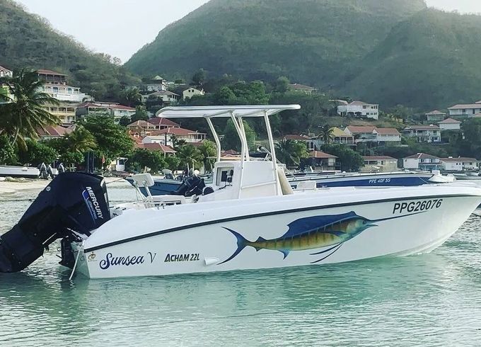 Motorboat Acham 22 L
