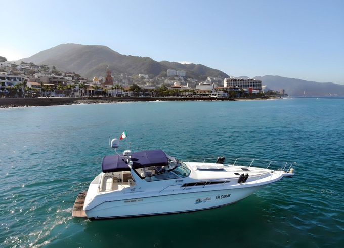 Motorboat Sea Ray Sea Ray 42