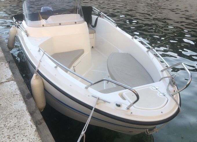 Motorboat QUICKSILVER Activ 455 50hp