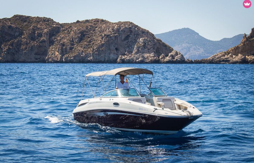 searay 280 sun deck